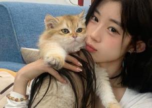 找资源的最佳去处，51.cg简约却丰富的感觉真妙！