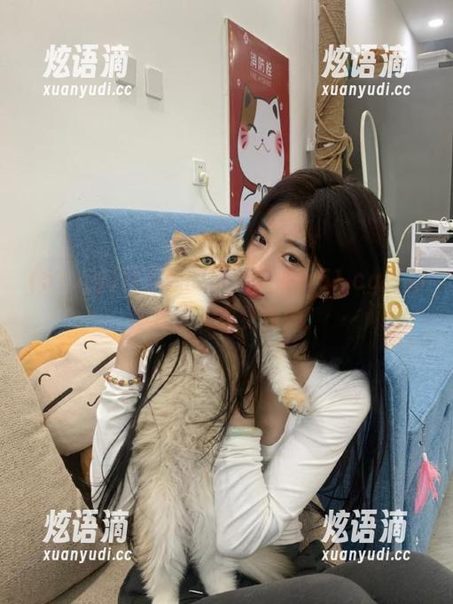 找资源的最佳去处，51.cg简约却丰富的感觉真妙！