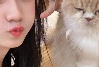 58吃瓜网：瓜永远在，只待你来啃！