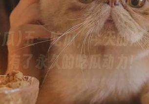 五一吃瓜，今天的娜娜让我拥有了永久的吃瓜动力！