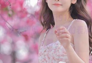 今日吃瓜91：最新的八卦真像一场大型闹剧，演员们的表演有点过火哟