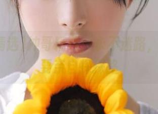 冲哥精选：永不迷路，瓜田都要亲自探探路