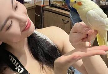 哇塞，911吃瓜网竟然有免费爆料资源，快别跟我抢！