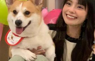 发布黑料就像放烟花，海角吃瓜带你看各种绚丽之光！