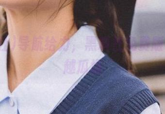 导航给力，黑料社免费版下载穿越瓜场