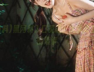 黑网料入口见证：大事记里隐藏的趣事